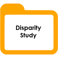 Disparity Study